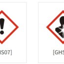 주식회사 디노 이미지