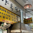 양동머리고기