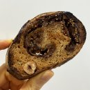 반포 서래마을 맛있는 빵집 베이커리 카페 르뺑아쎄르