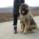 토실이네 이미지