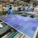 태양광 패널 중국 생산 과잉으로 7월에서 9월 가격 하락 전망 태양광기사 이미지