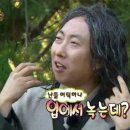 조광101