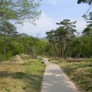 여무시농장 Daum카페