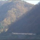 청춘-숲속의 섬,  이미지