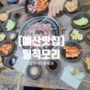 월척오리 이미지