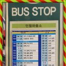 새호남약국 이미지