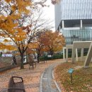 효성성모병원 이미지