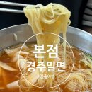 불국사밀면 | 경주 불국사 근처 맛집 맛있었지만 아쉬웠던 경주 밀면 본점 후기