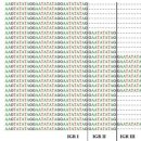 유전농장 이미지