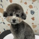 하떼하떼 이미지