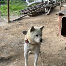 광덕목장 이미지