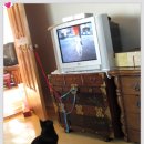 까망농장 이미지