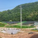 영양1호태양광발전소 이미지