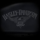 아이언(IRON) 이미지