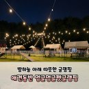 기상측기 감시 | [애견동반] 청주 멍글멍글펫글램핑 또 다녀온 후기 | 쿠키가 침 흘리며 뛰어다닌 하루