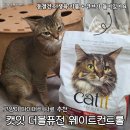 동결건조 큐브가 들어간 고양이사료 하겐 캣잇 더블퓨전 급여 후기
