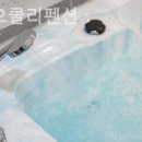 오쿨리펜션 이미지