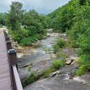 성규목장 이미지