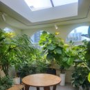 뚜레쥬르 대전서구만년점 이미지