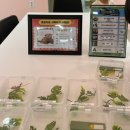 토평도서관 외부 | 521생태테마파크 생물도감 5살아들과 주말 오픈런 솔직후기