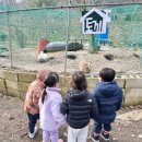 킨더하우스어린이집 이미지