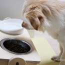 헬시맘마 이미지