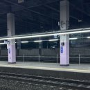 부산트래블라운지 | 부산 3박4일 여행 마가만두 군만두 먹고 트래블라운지 부산역 짐보관 후기