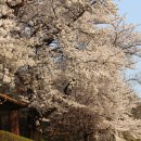 수봉양궁장 이미지