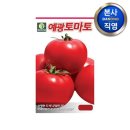 예광농장 쇼핑하우