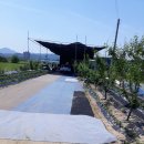 양평농장 이미지