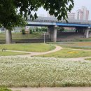 도농체육공원 네이버블로그