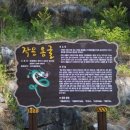 팡팡 이미지