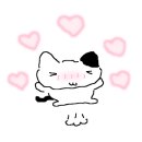 (주)영투어 이미지