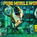 정도글로벌㈜ 이미지