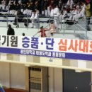 월드용인대석사태권도 이미지