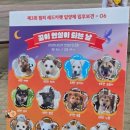 핌피바이러스