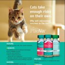 광화문동물병원 이미지