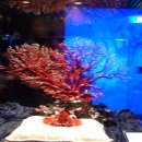 산호빌딩 이미지