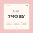 37주차 증상(보르르 세척, 브레짜 젖병세척기 세척, 젖병준비, 분당제일여성병원 태동검사, 스토케 뉴본...
