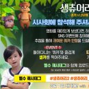 시그너스영어