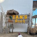 탄스비치 이미지