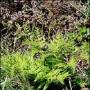 양지바른 이미지