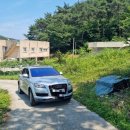 성산 애견농장 네이버블로그