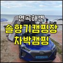 북강릉농협경제사업소연곡점 | 강원도 연곡해변 솔향기캠핑장 추천 차박캠핑 후기(여행 2일차)