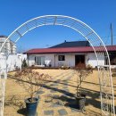 데일리로그감성사진관 이미지