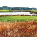 영암카써비스 이미지