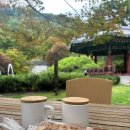 약수골막국수 | 하이원리조트 운암정 카페| 화암동굴| 약수골막국수| 화암약수| 아이들과 놀거리