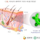 수연화장품(피부관리)