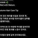 케이뷰티인셀덤
