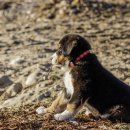 사진으로 소통하기(디지털카메라)초중급 | 모블로그의 등장과 실시간 소통 문화의 형성